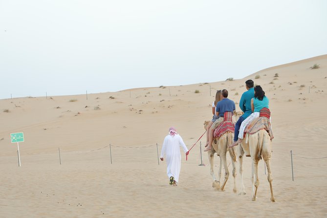 Abu Dhabi Morning Desert Safari - The 4WD dune bash is the main event