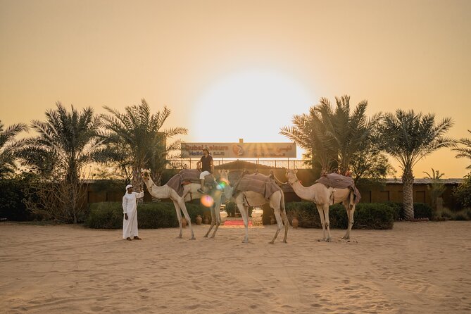 Adrenaline combo : Desert activities + ATV or Quad bike option - Who should book this desert combo?