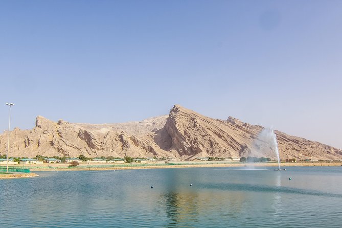 Al Ain City Sightseeing tour with Lunch from Dubai - Is the $204 price fair?