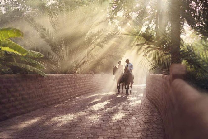 Al Ain City Tour from Dubai - Why Al Ain makes a good change from Dubai
