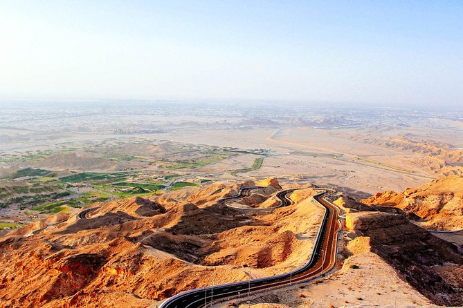 Al Ain City Tour from Dubai - Camel and livestock market: the most distinctive stop