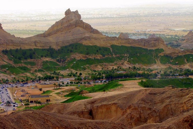 Al Ain City Tour from Dubai - The zoo, lunch, and the real cost of the day