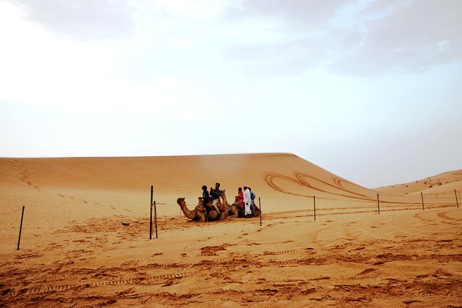 Al Ain Desert Safari with Buffet Dinner - Fire and belly dance shows after dark