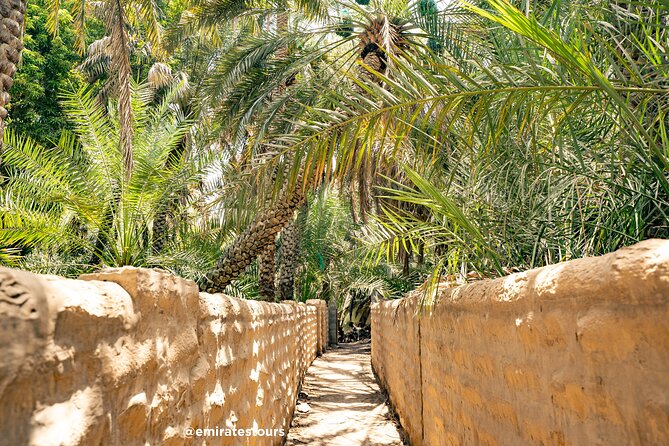 Al Ain Full Day Trip from Abu Dhabi with Lunch - The oasis, palms, and falaj water channels