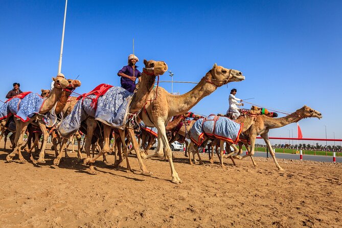 Al Ain Tour from Abu Dhabi - Al Jahili Fort begins the cultural story