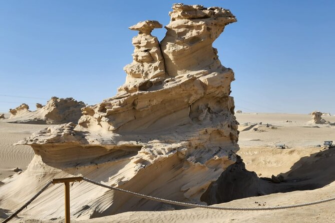 Al Wathba Fossil Dunes and Salt Lake Trip from Abu Dhabi - What to expect at the camel track