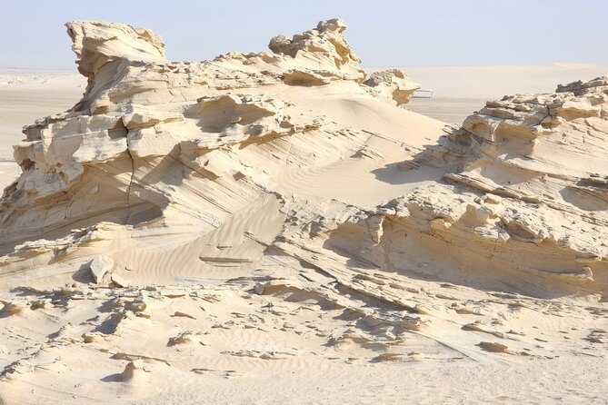 Al Wathba Fossil Dunes and Salt Lake Trip from Abu Dhabi - The wetland reserve and its narrow season