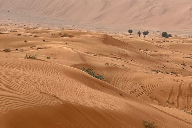 Arabian Dune Buggy Adventure - What the $195.39 price really buys you