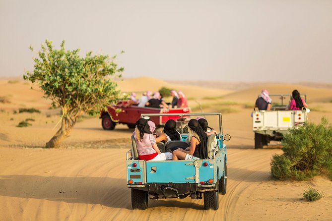 Authentic Safari in Vintage Land Rover with Traditional Dinner - Pickup from Dubai and the long transition out of the city
