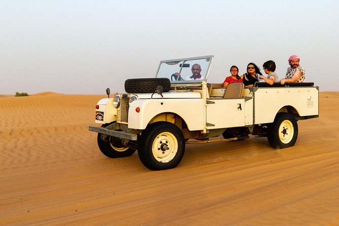 Authentic Safari in Vintage Land Rover with Traditional Dinner - Falconry at sunset, the evening’s best visual moment
