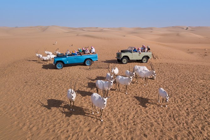 Authentic Safari in Vintage Land Rover with Traditional Dinner - Who will enjoy this safari most