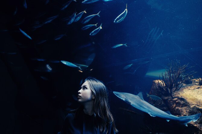 Burj Khalifa and Dubai Aquarium Combo Entrance Ticket - What to expect at Burj Khalifa floors 124 and 125