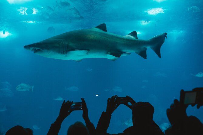 Burj Khalifa and Dubai Aquarium Combo Entrance Ticket - The ticket-line advantage