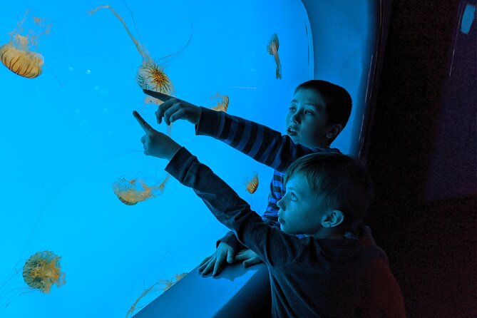 Burj Khalifa and Dubai Aquarium Combo Entrance Ticket - What the mixed ratings tell you