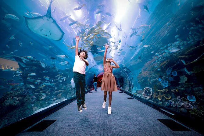 Burj Khalifa At the Top & Dubai Aquarium Combo Entrance Tickets - The main drawbacks you should weigh