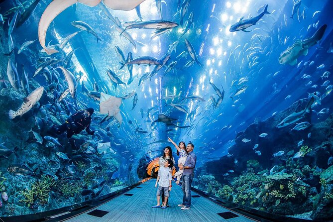 Burj Khalifa At The Top & Underwater Zoo Aquarium with Transfer - Is $178.58 a fair price?