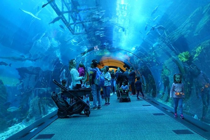 Burj Khalifa, Dubai Aquarium & UWZ with Penguin Cove Entry Ticket - How the $112.79 price works out
