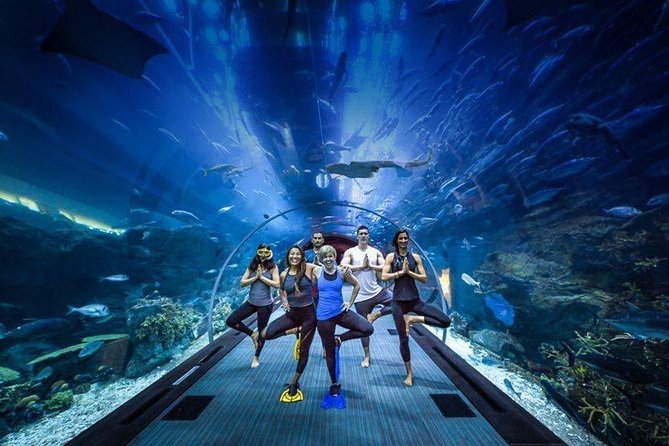Burj Khalifa, Dubai Aquarium & UWZ with Penguin Cove Tickets - Two major Dubai attractions, one self-guided visit