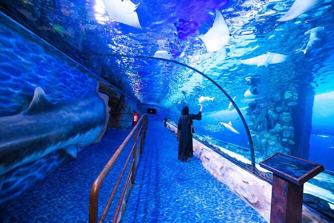 Burj Khalifa, Dubai Aquarium & UWZ with Penguin Cove Tickets - Choose your Burj Khalifa time with care