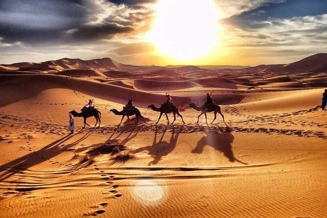 Camel Trekking Dubai with Dune Bashing and Sand Boarding - Dune bashing brings the first burst of excitement