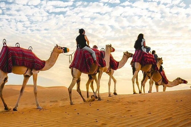 Can Am Buggy 60 mints Adventure at Red Desert - Is $250 per person good value?