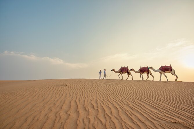 Caravanserai Exclusive Safari - Dune bashing for about 30 minutes