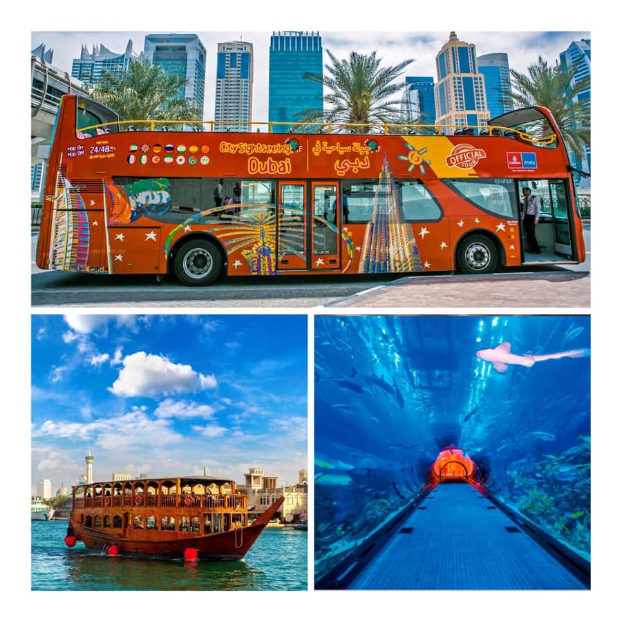 City Sightseeing Dubai Hop-On Hop-Off Bus Tour & Dhow Cruise - How the Dubai bus tour works