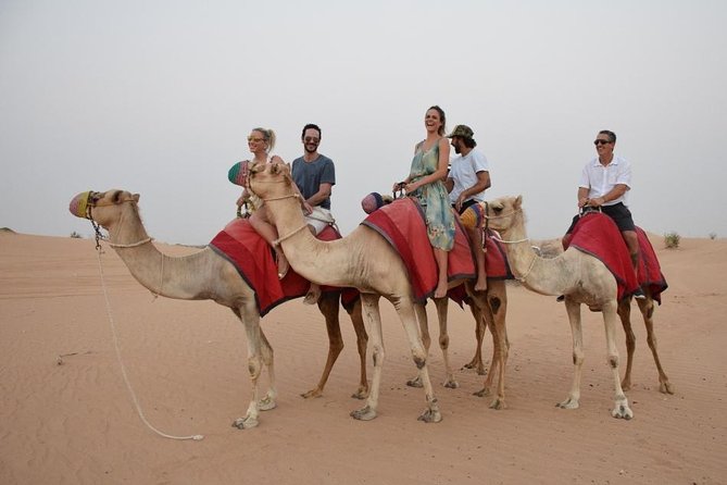 Classic Dubai Desert Safari with BBQ Dinner and Camp activities - What the $41 price really buys you