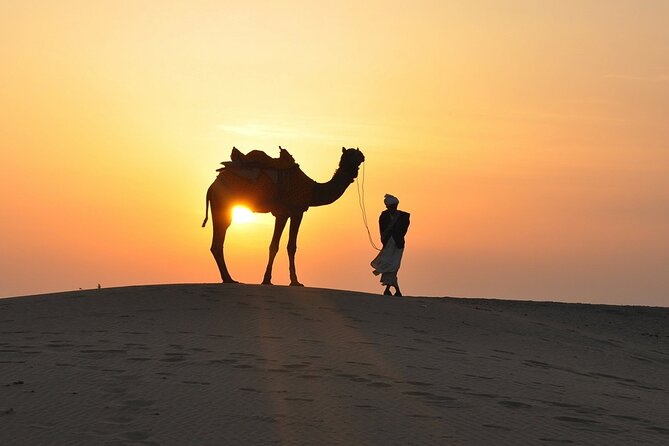 Deluxe Dubai Desert Safari with BBQ Dinner - BBQ dinner with a live grilling station