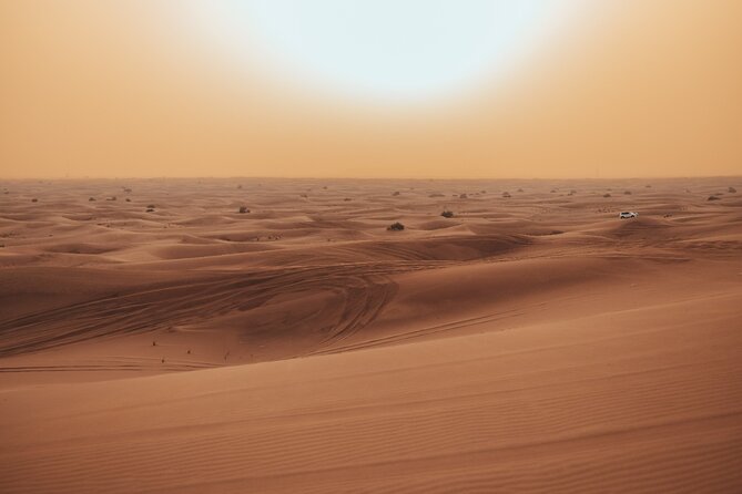 Deluxe Sunset Desert Safari: SandSurfing, Camel Ride & BBQ dinner - Sandboarding at sunset