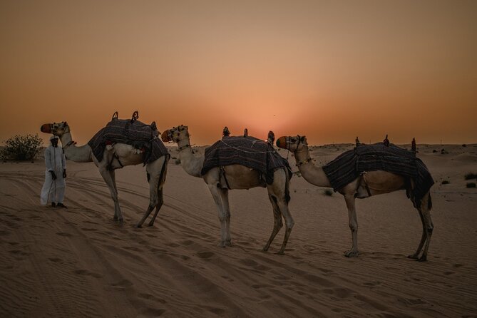 Deluxe Sunset Desert Safari: SandSurfing, Camel Ride & BBQ dinner - A short camel ride and a falcon photograph