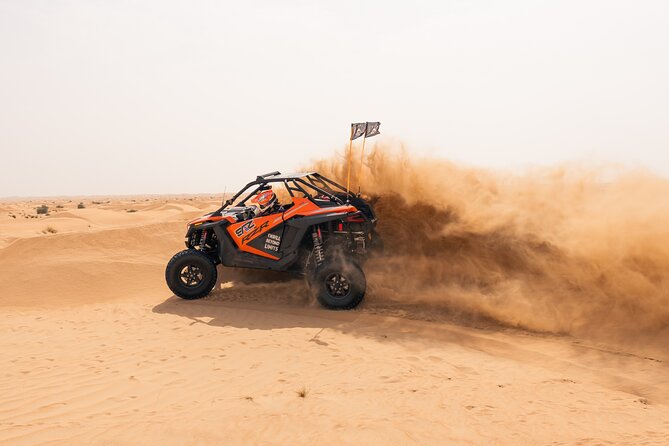 Desert Buggy Tours in Dubai - What makes it good for families