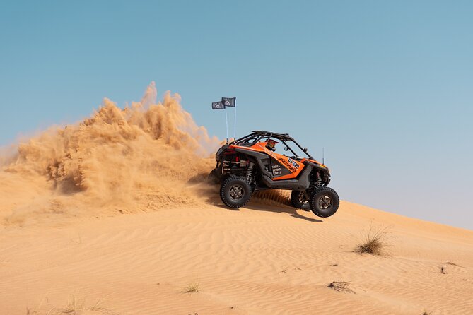 Desert Buggy Tours in Dubai - Price, timing, and what you receive