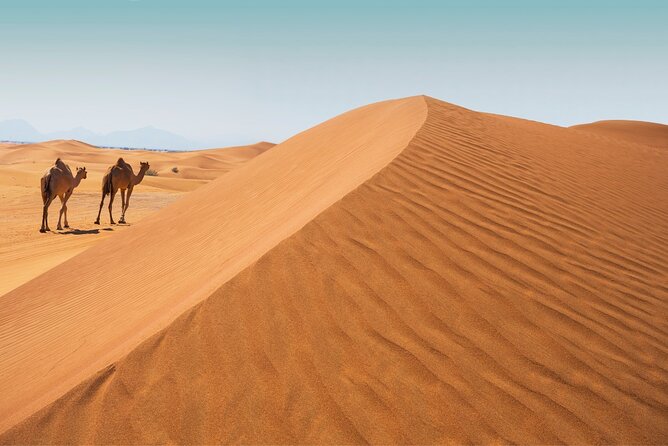 Desert Safari Abu Dhabi w/ Sand Boarding, Camel Ride & BBQ Dinner - From Abu Dhabi to the Al Khatim Desert