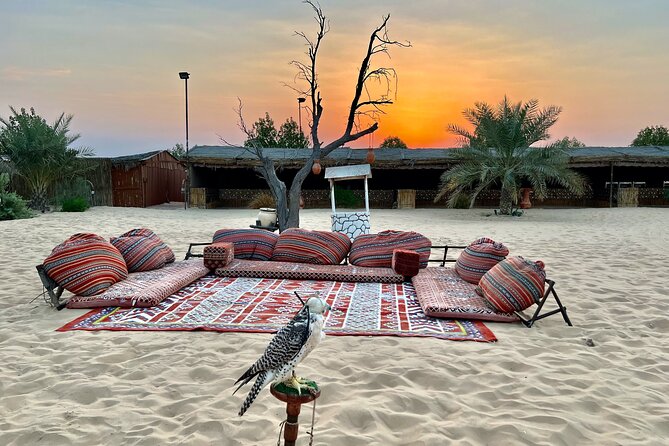 Desert Safari Abu Dhabi w/ Sand Boarding, Camel Ride & BBQ Dinner - Who will enjoy this safari most