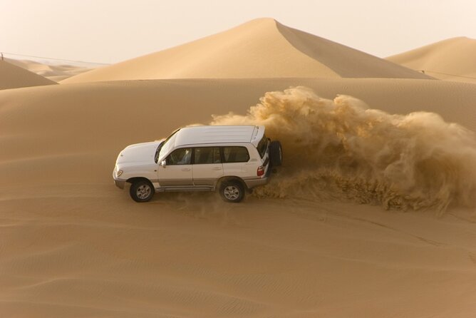 Desert Safari Abu Dhabi w/ Sand Boarding, Camel Ride & BBQ Dinner - The camel farm and first desert views