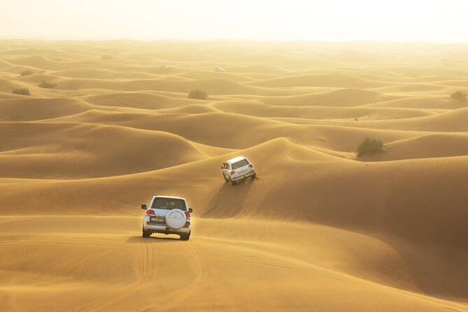 Desert Safari Adventure Hotel Transfer Camel Ride with Quadbike - Key points to know before booking