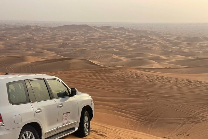 Desert safari adventure with BBQ dinner - Fifteen minutes of dune bashing