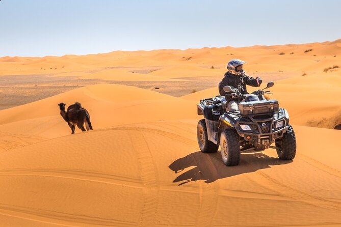 Desert Safari Dubai - Cancellation and booking details to check