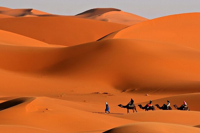 Desert Safari Dubai BBQ Dinner & Live Shows - How the price compares with what you receive