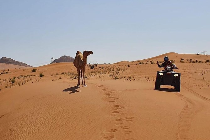 Desert Safari Dubai (PREMIUM VIP) - The ATV session: fun, but not a wilderness ride