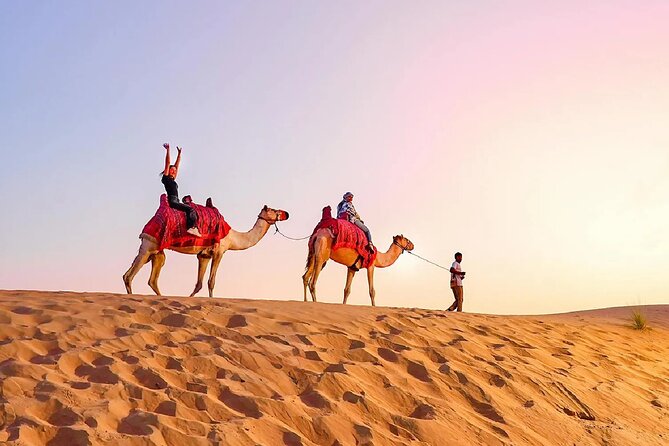Desert Safari Dubai Sand Bashing, Camel Ride, Shows, Live BBQ - Sunset shows, BBQ dinner, and the night program