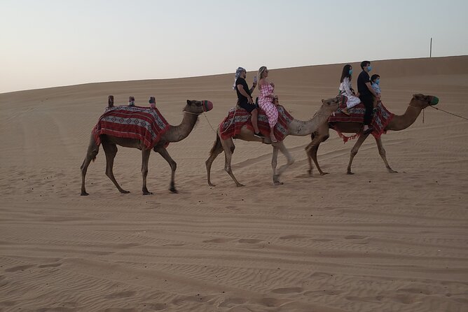 Desert Safari Dubai with Buffet Dinner & 3 live shows - Sandboarding without another fee