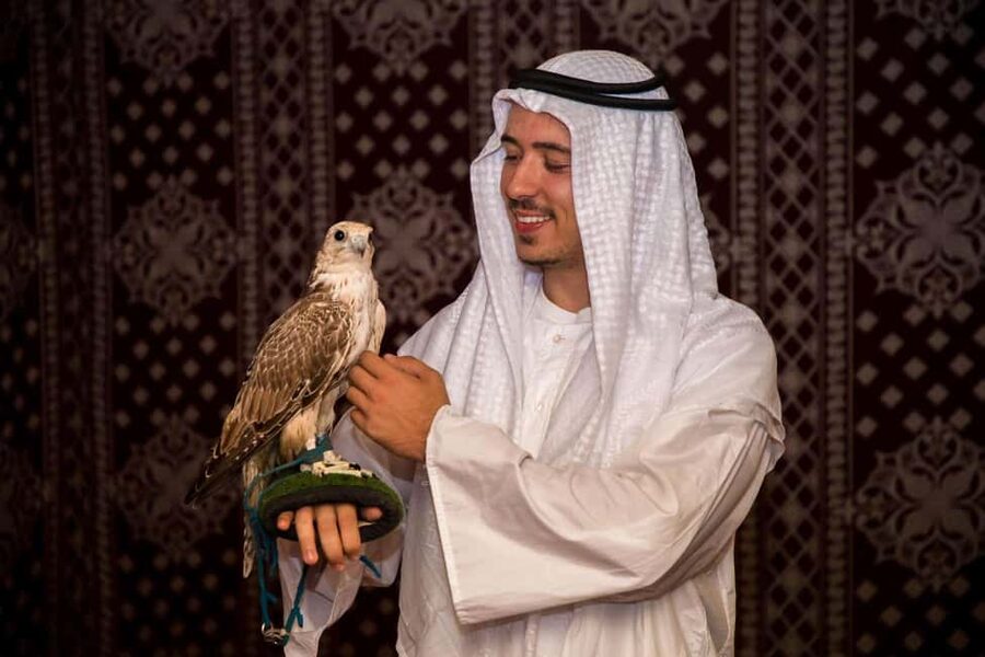 Desert Safari Dubai with Camel Ride, Sandboarding & Dinner - What the $27 price really covers