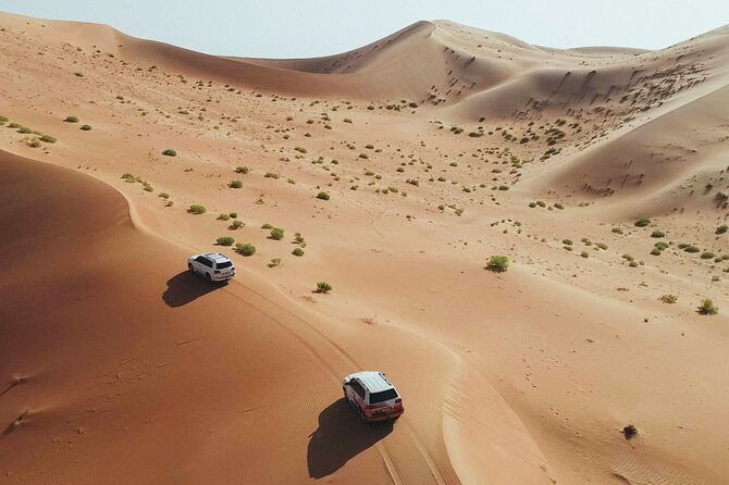 Desert Safari Dubai with Dune Bashing, Activities and Dinner - Key points to know before booking