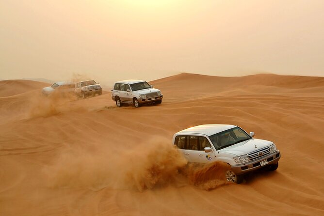Desert Safari Experience with Dune Bashing and Dinner in Dubai - A camel farm and a closer look at falcons