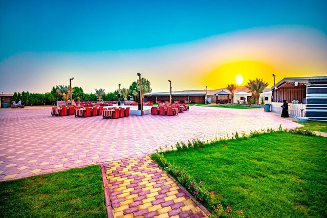 Desert Safari in 4x4 Car with BBQ Dinner and Belly Dance - The guides and the human side of the outing