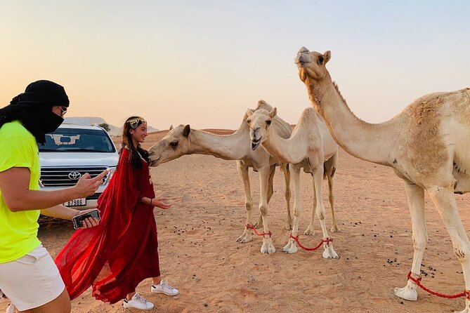 Desert Safari, Open Desert Quad Bike Experience with BBQ Dinner - BBQ dinner and live shows finish the evening