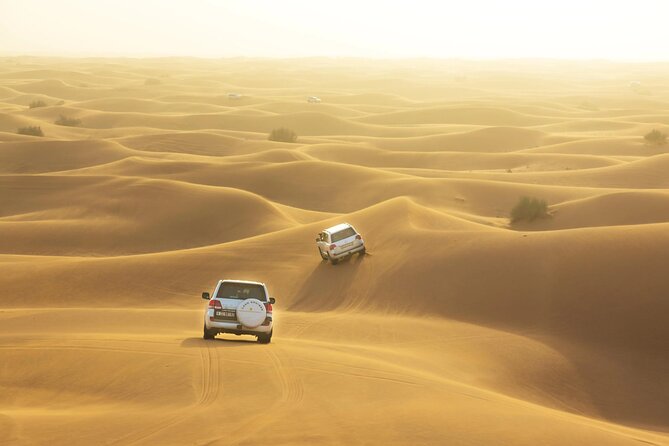 Desert Safari, Quad Biking, Sand Surfing and BBQ Dinner In Dubai - What the $128.39 price really buys