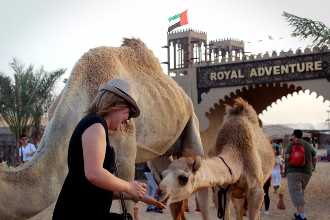 Desert Safari Quad Biking with Barbeque and Dubai City Tour - Why this tour works for a first Dubai visit